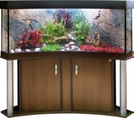 Eck-Aquarien Kombination Grafik