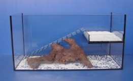 Becken fr Schildkrten